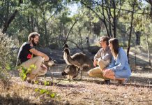 Cultural treats at Narana