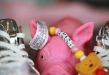 Angie’s Catch Up – On Tulli’s team