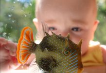 Coastal critters kids will love learning about