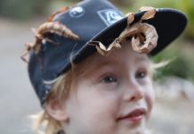 A lot to learn about creepy crawlies