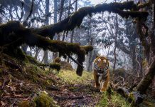 Stunning images at world-renowned exhibition