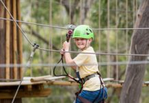 Visit Live Wire Park for a dynamic winter workout