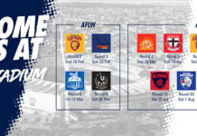 Cats Membership at Christmas