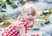 Strawberry fields forever