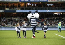 Join the Geelong Cats this year