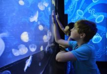 How to encourage your child’s passions