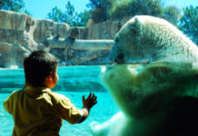 Take your kids on a virtual tour