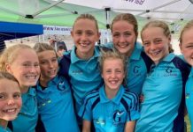 Dip your toe in the water with GSC