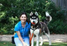 Tips to prepare your dog for your baby’s arrival