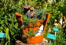 How to make a fairy garden