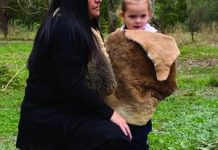 A long history of learning