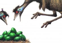 Geelong Arts Centre continues to dazzle