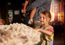 150 years of Geelong’s history